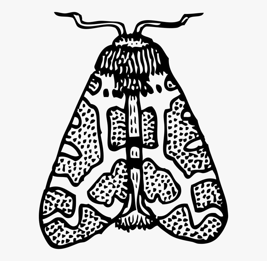 Moth Wings Closed - Moth Black And White Clip Art, Transparent Clipart