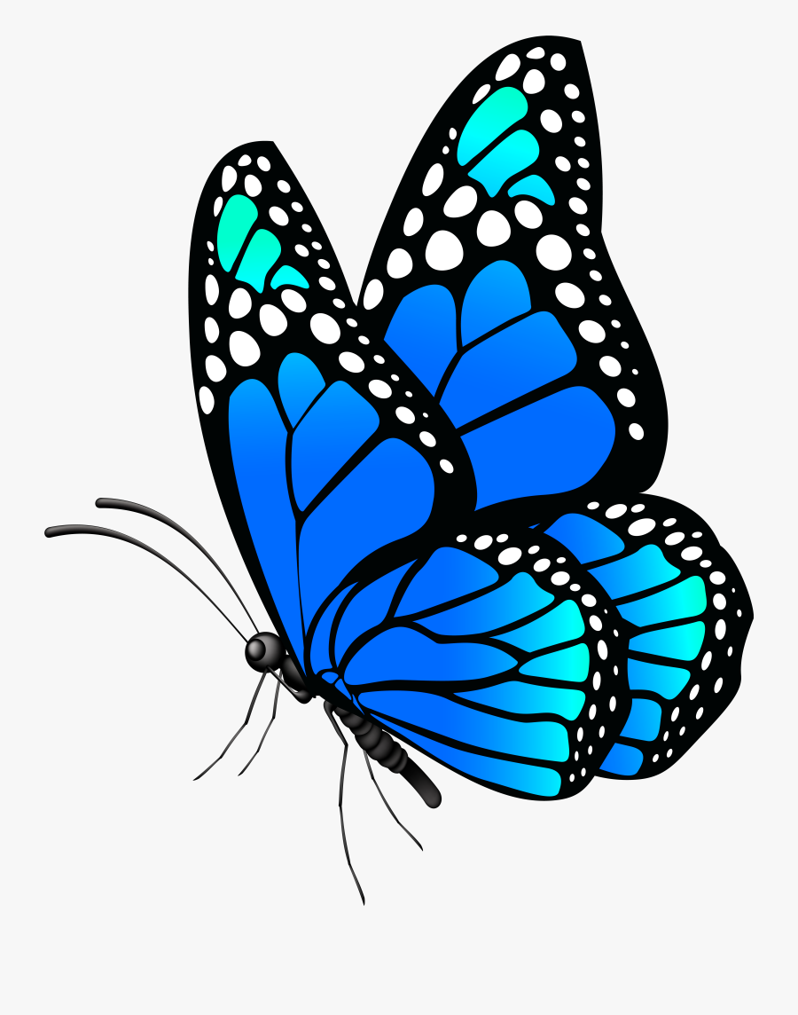 Monarch Butterfly At Getdrawings, Transparent Clipart