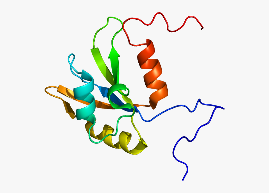 Hnrpf Wikipedia - Graphic Design, Transparent Clipart