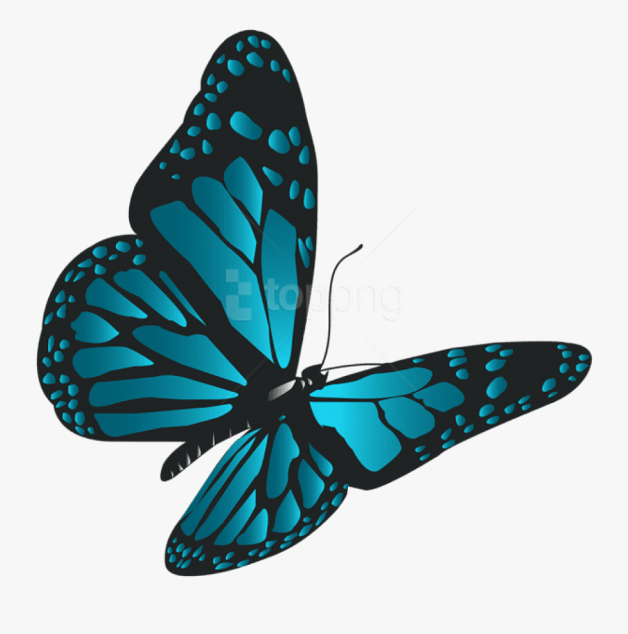 Free Png Download Blue Butterfly Png Clipart Png Photo - Butterfly Png, Transparent Clipart