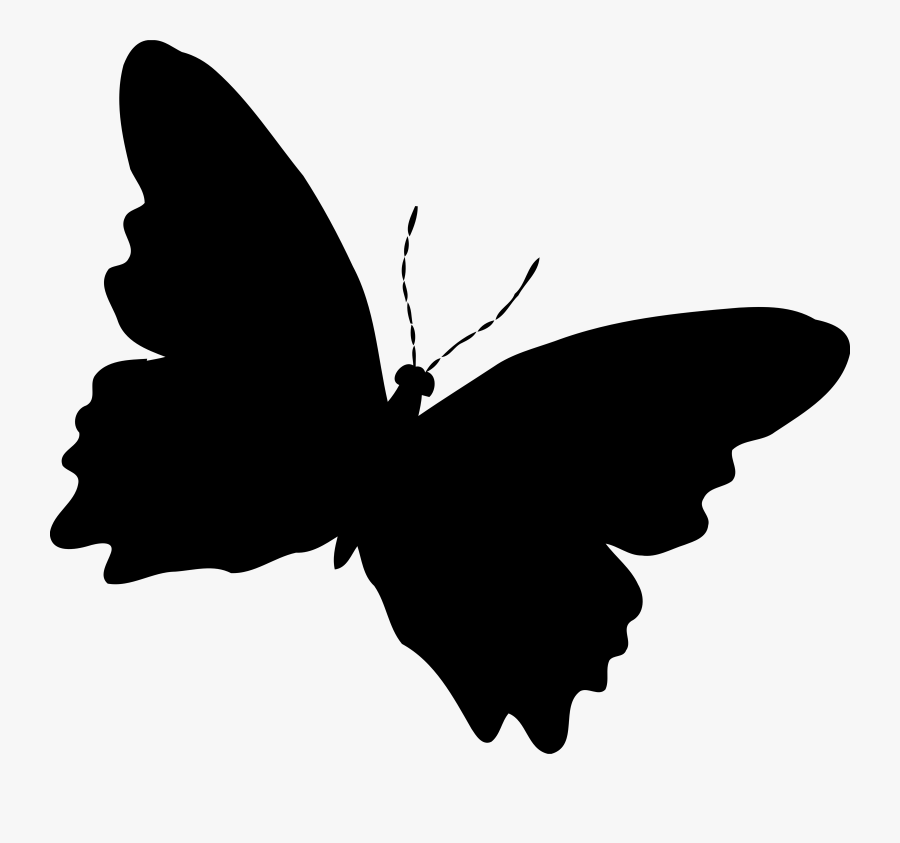 Clip Art Photo - Silhouette Butterfly Clipart Black And White, Transparent Clipart