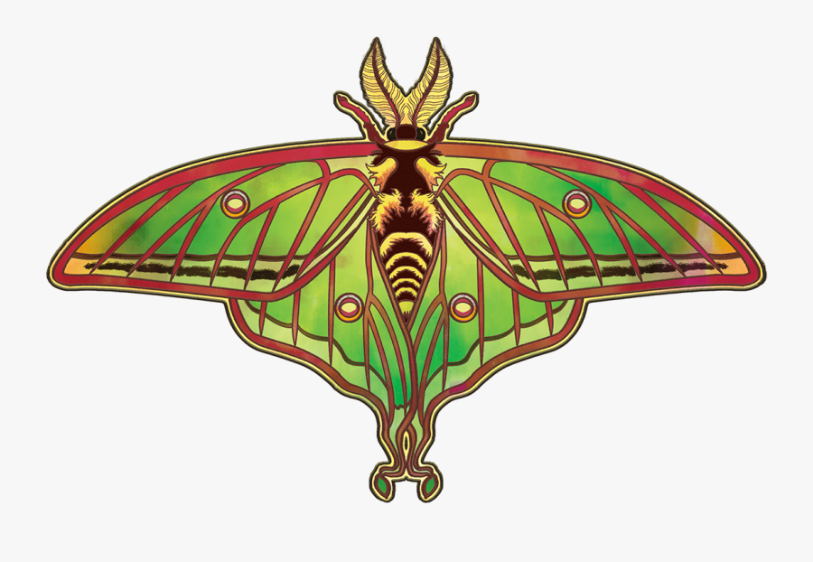Spanish Luna Moth - Moth, Transparent Clipart