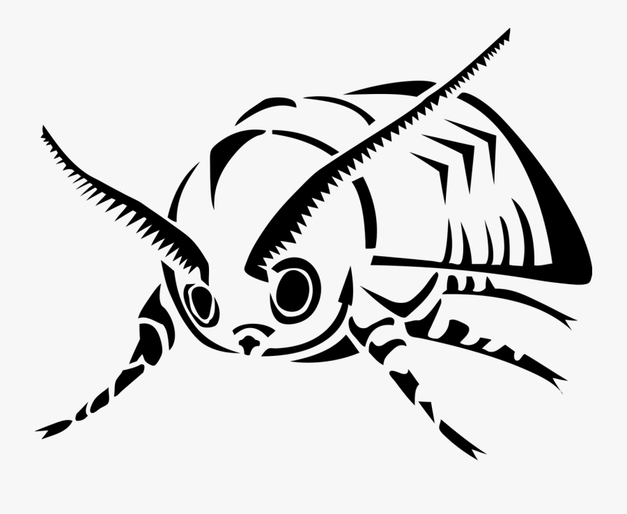 Transparent Luna Moth Clipart - มอด การ์ตูน, Transparent Clipart