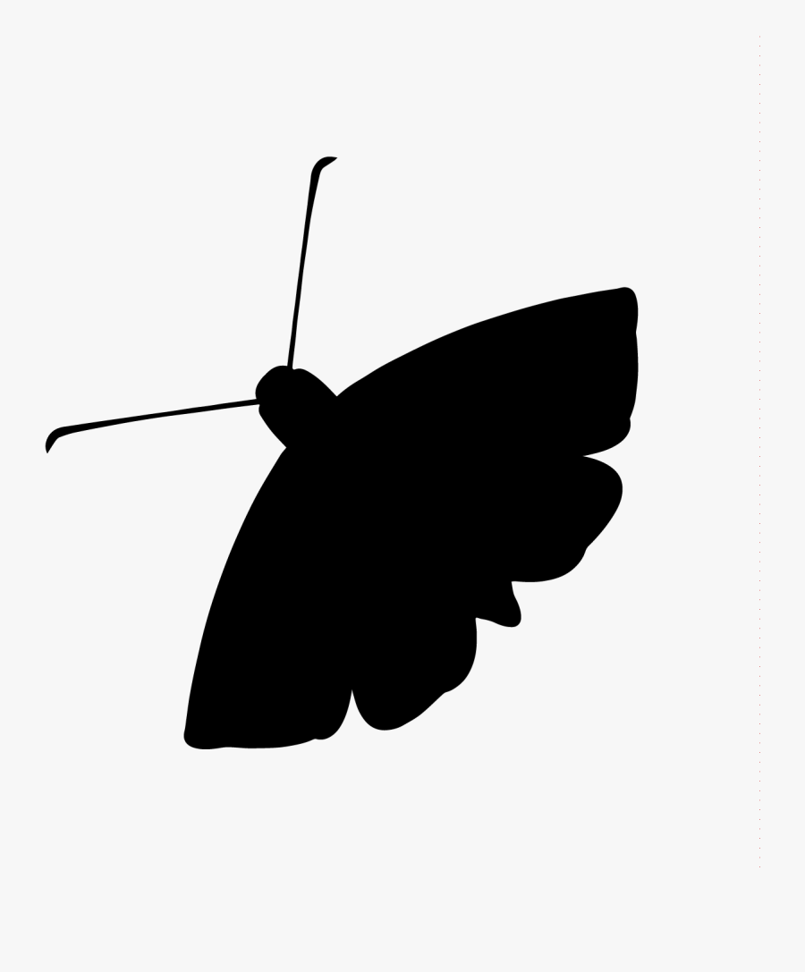 Clip Art The Radio Hour Npr - Moth Radio Hour Logo, Transparent Clipart