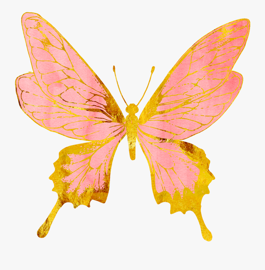 Pink And Gold Butterfly, Transparent Clipart