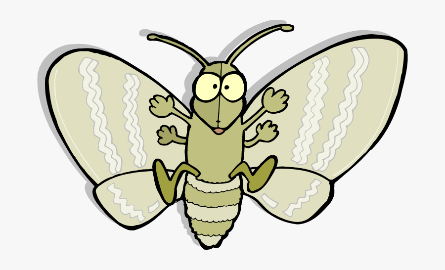 Moth Png Picture - Death Of Moth Cartoon, Transparent Clipart