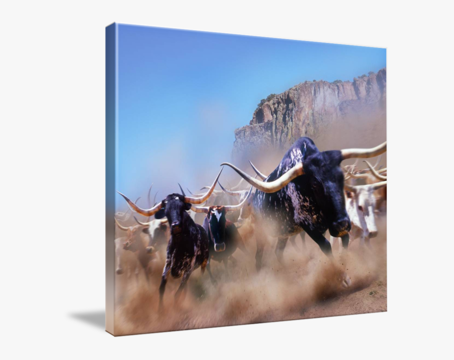 Stampede By John Lund - Cattle Stampede, Transparent Clipart