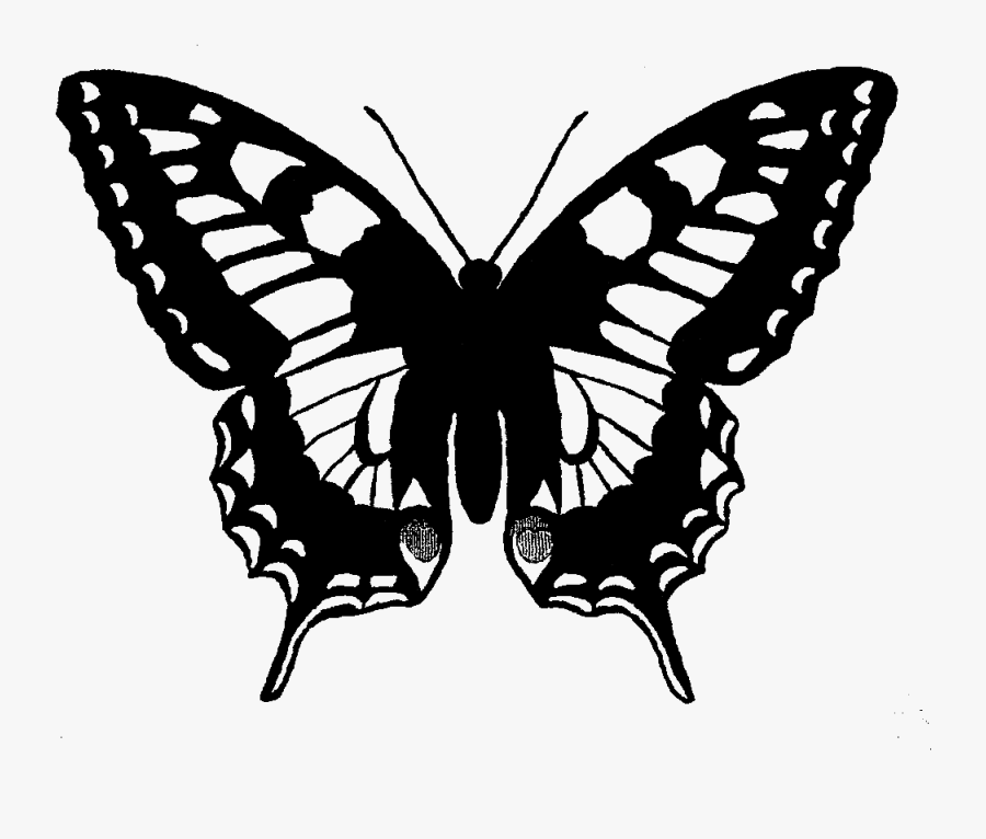 Digital Butterfly Clip Art Machaon Butterfly- - Black Swallowtail Butterfly Drawing, Transparent Clipart