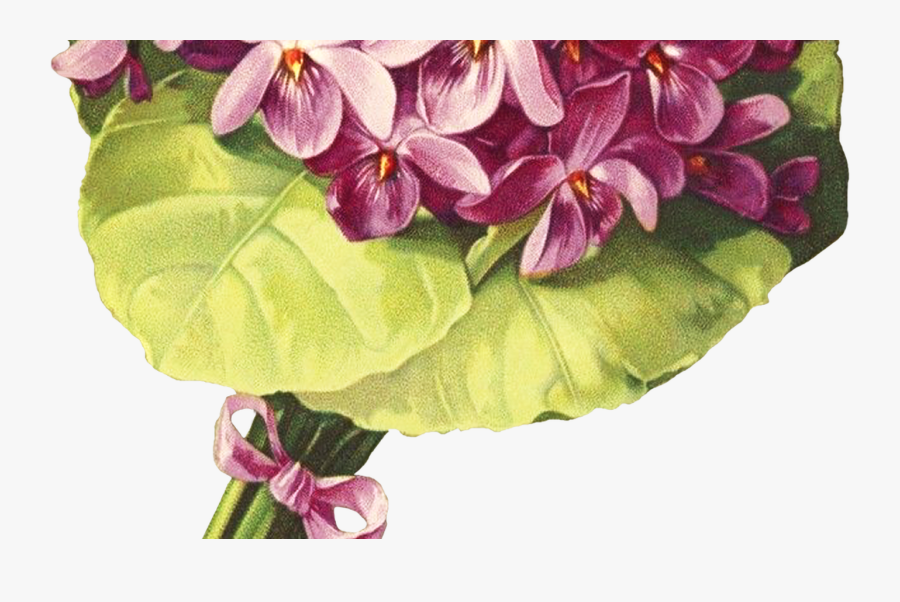 Victorian Floral Purple Nosegay Clipart - Moth Orchid, Transparent Clipart