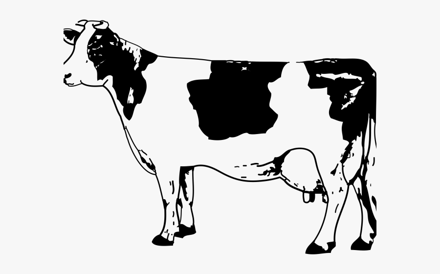 Transparent Long Horn Clipart - Cow Clipart Black And White Png, Transparent Clipart