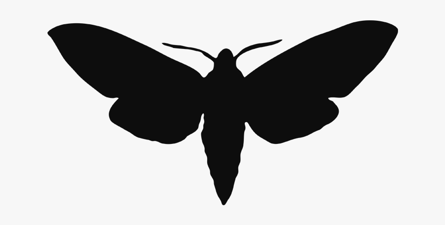 Clip Art Moth Silhouette - Moth Silhouette Png, Transparent Clipart