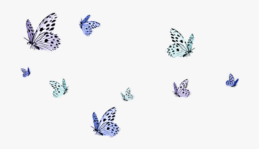 Clipart Wallpaper Blink - Transparent Background Butterflies Png, Transparent Clipart