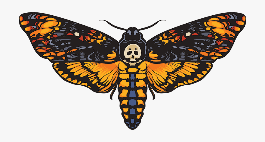 Clip Art Aftermath Magazine One Fact - Skull Death Head Moth, Transparent Clipart