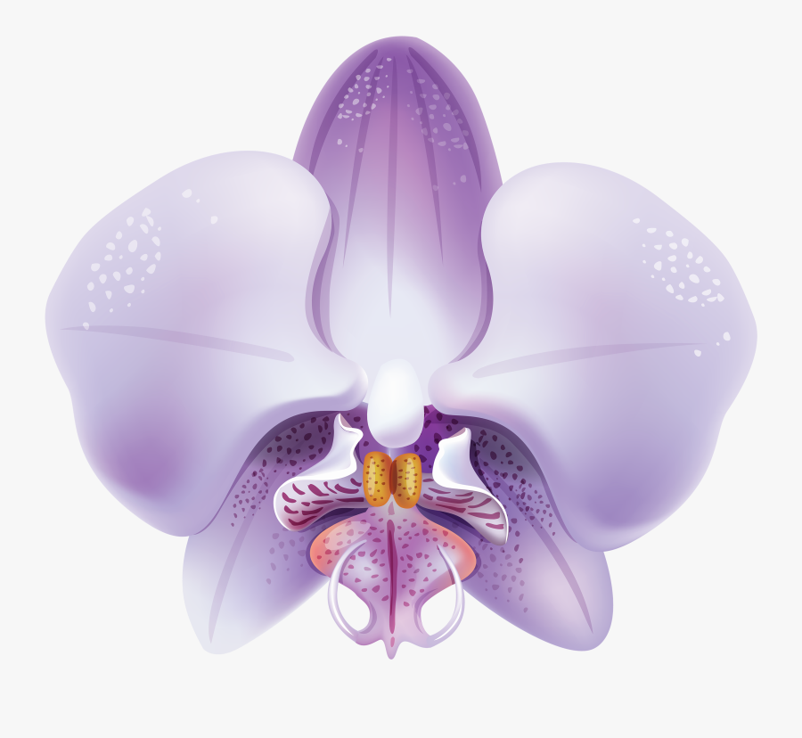 Violet Orchid Png Clipart - Orquideas Lilas Png, Transparent Clipart
