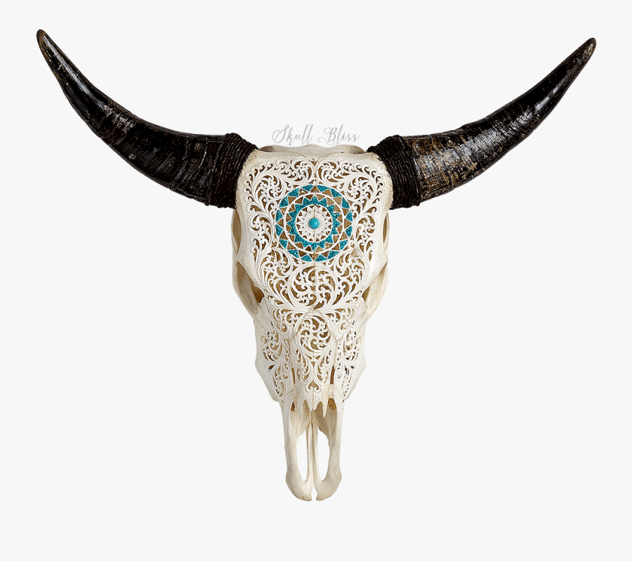 Transparent Longhorn Skull Clipart - Cow Skull Transparent Background, Transparent Clipart