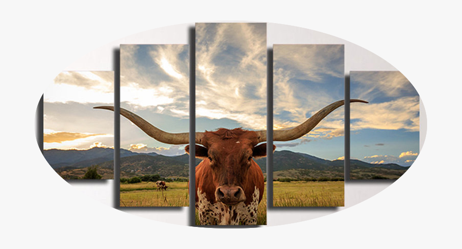Transparent Straight Face Png - Texas Longhorn, Transparent Clipart
