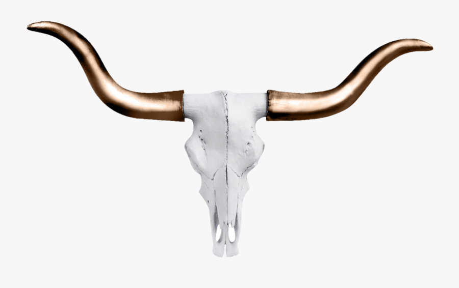 Hd Austin Longhorn Wall - Cow Horns Png Gold, Transparent Clipart