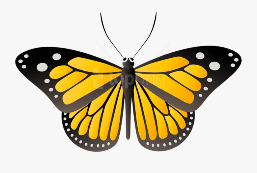 Download Clipart Png Photo - Yellow Butterflies Clip Art, Transparent Clipart