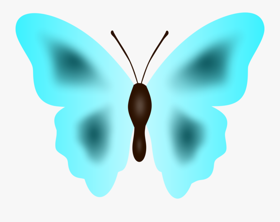 Butterfly,symmetry,moth - Lycaenid, Transparent Clipart