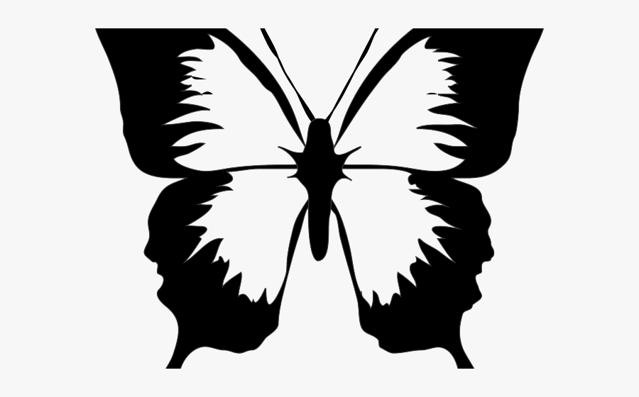 Black And White Butterfly Outline, Transparent Clipart