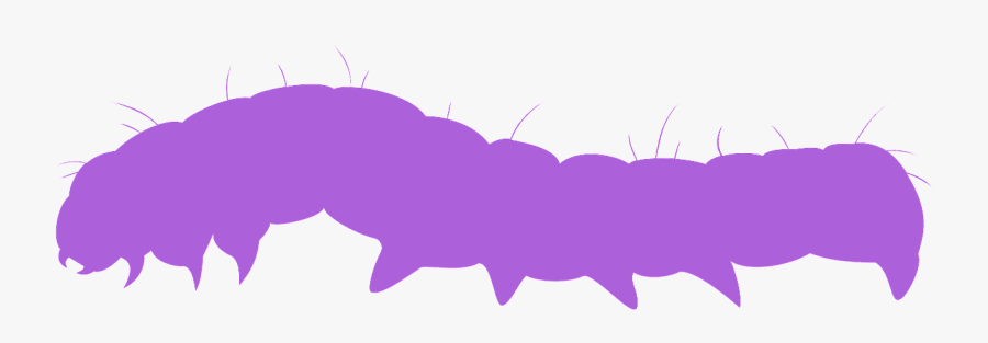 Silhouettes De Chenilles, Transparent Clipart