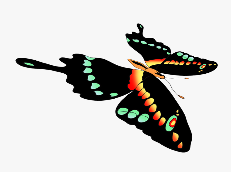 Moths And Butterflies, Transparent Clipart
