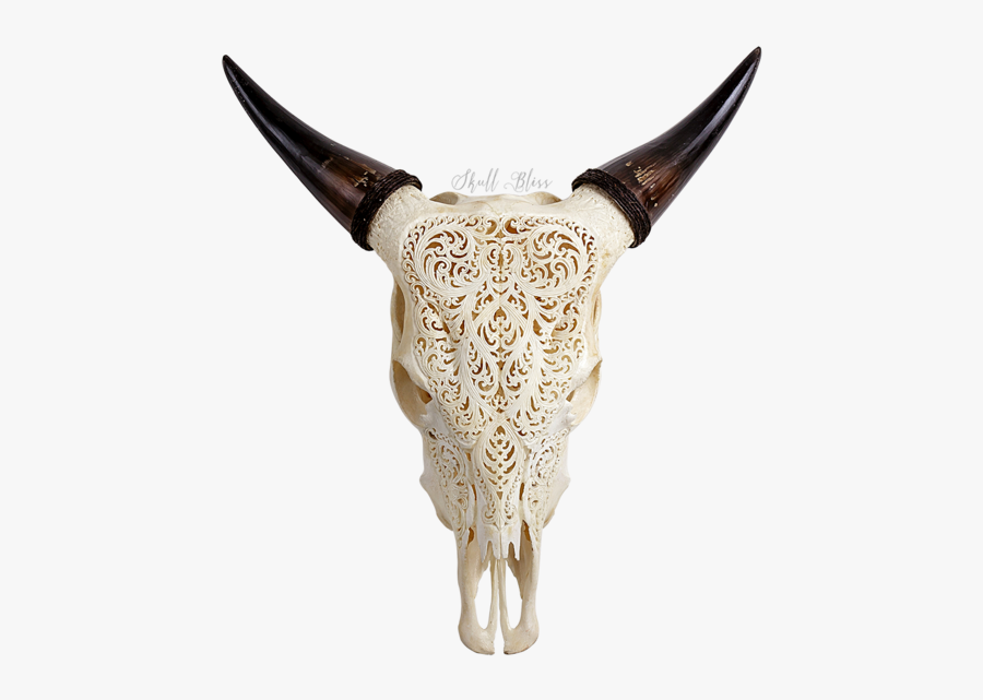Texas Longhorn English Longhorn Animal Skulls Cow"s - Laser Engraved Skull, Transparent Clipart