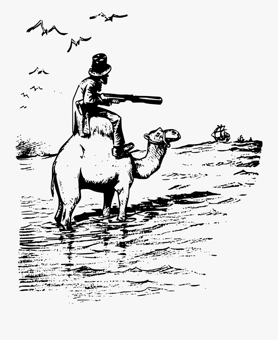 Clip Art, Transparent Clipart