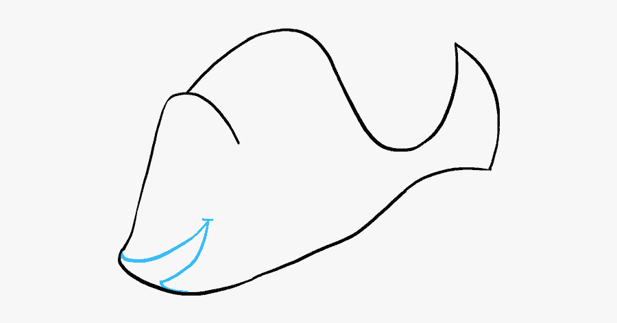 How To Draw Dory In A Few Easy Steps Easy Drawing Guides - Coral Reef Fish, Transparent Clipart