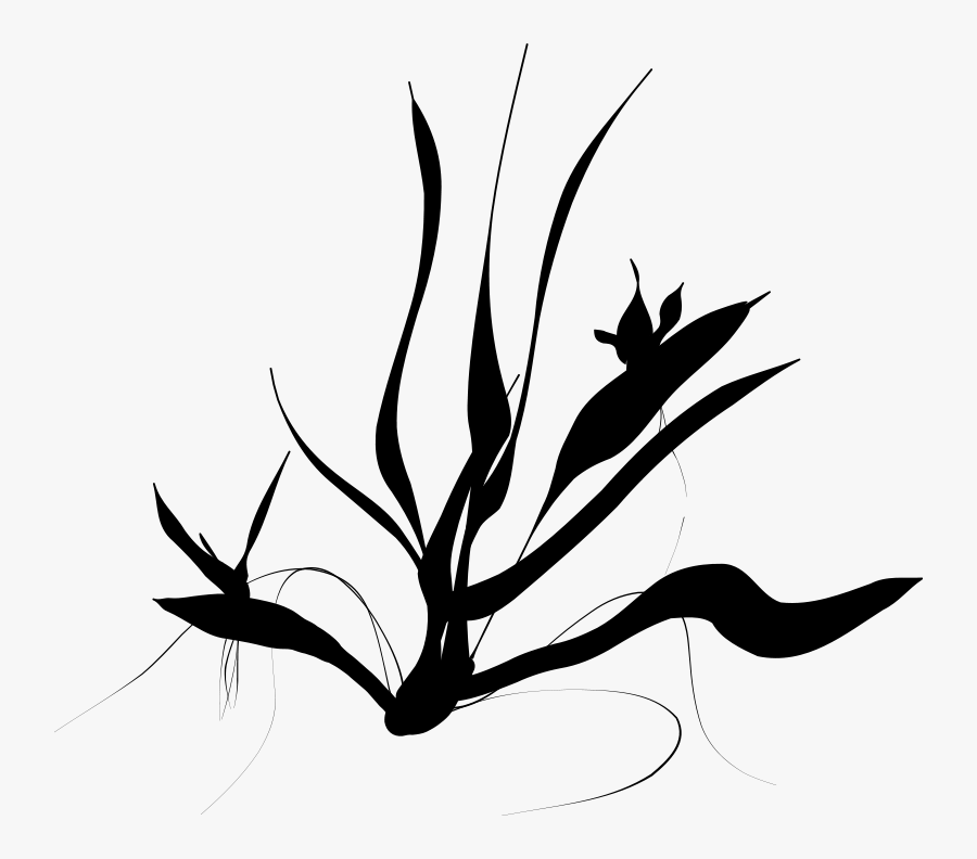 Java Clipart Download - Sea Plants Black Png, Transparent Clipart