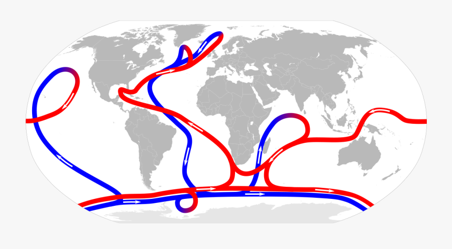 Heat Clipart Climate Change - Distribution Of The Brown Rat, Transparent Clipart