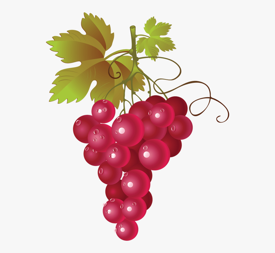 Hop Grape Vines - Red Grapes Vector Png, Transparent Clipart