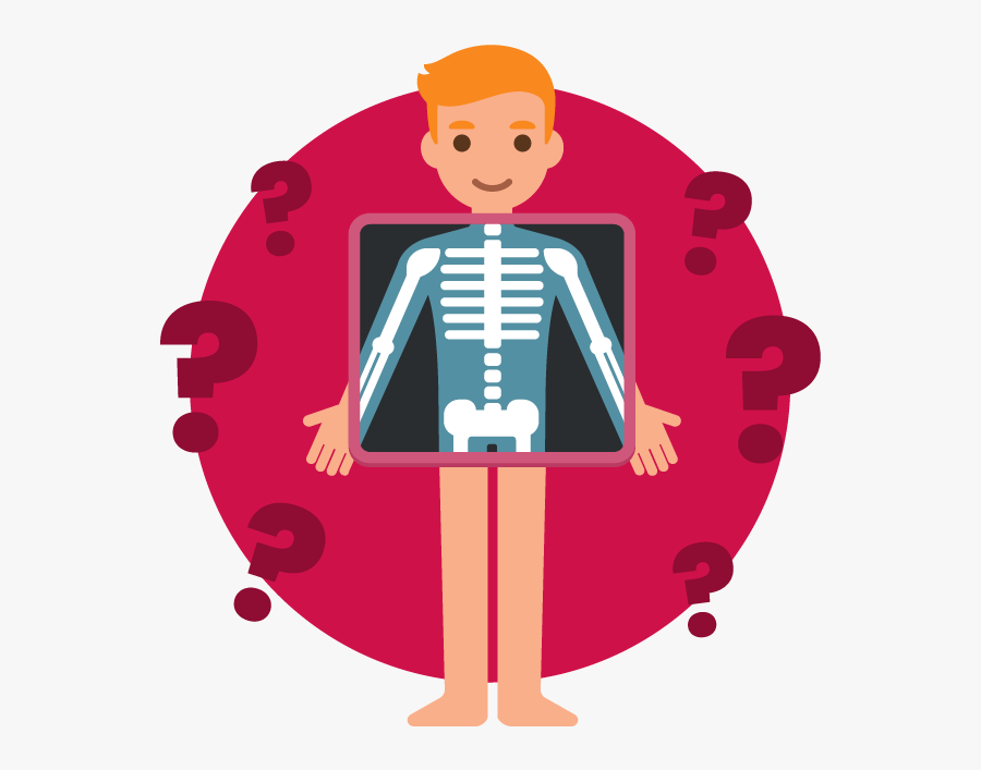 How Well Do You Know Your Bones Test Your Knowledge, Transparent Clipart