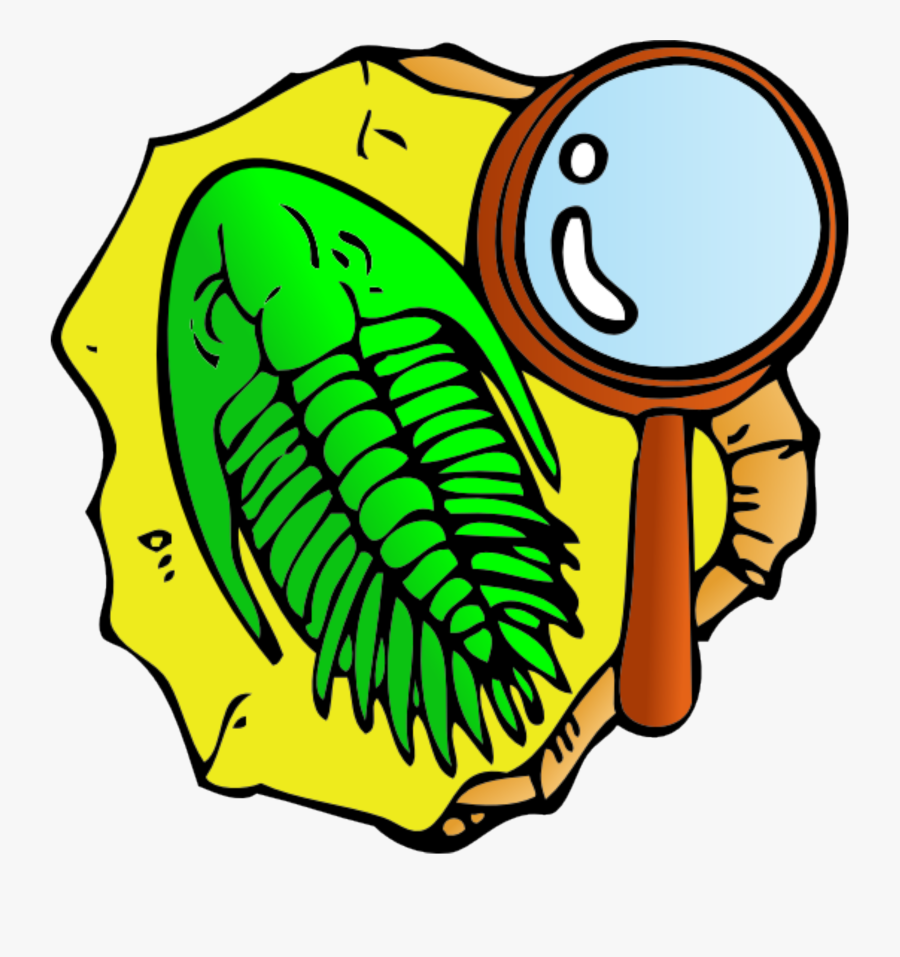 Clip Art Frames Illustrations - Fossil Clipart, Transparent Clipart