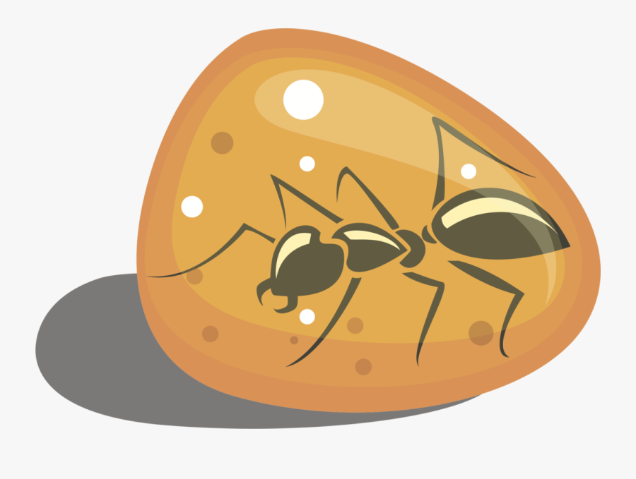 Invertebrate,food,fruit - Bug In Amber Clip Art, Transparent Clipart