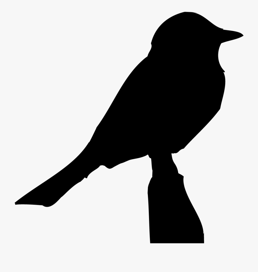 Eastern Phoebe Overview, All About Birds, Cornell Lab - Phoebe Silhouette, Transparent Clipart