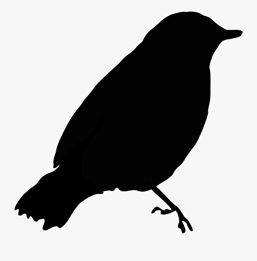 Bird Clipart Black, Transparent Clipart