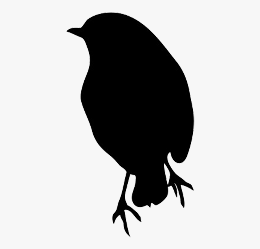 Silhouette Of Robin - Robins Black Silhouette, Transparent Clipart