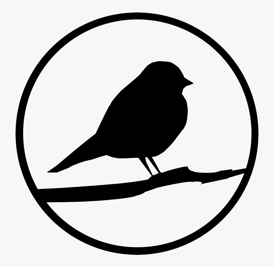 Transparent Robin Bird Clipart, Transparent Clipart