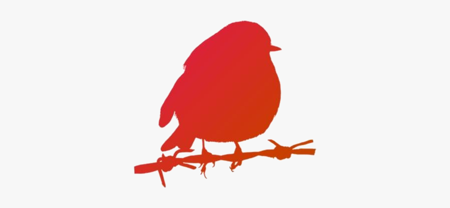 Robin Bird Png Free Clipart - Robin Drawing Christmas Bird, Transparent Clipart