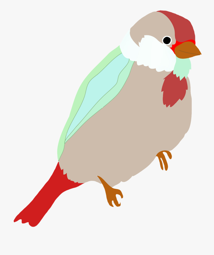 Robin Clipart Drawn - Bird Drawing Colour Png, Transparent Clipart
