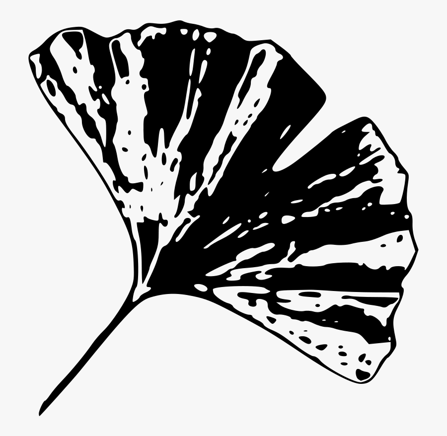 Butterfly,plant,flower, Transparent Clipart