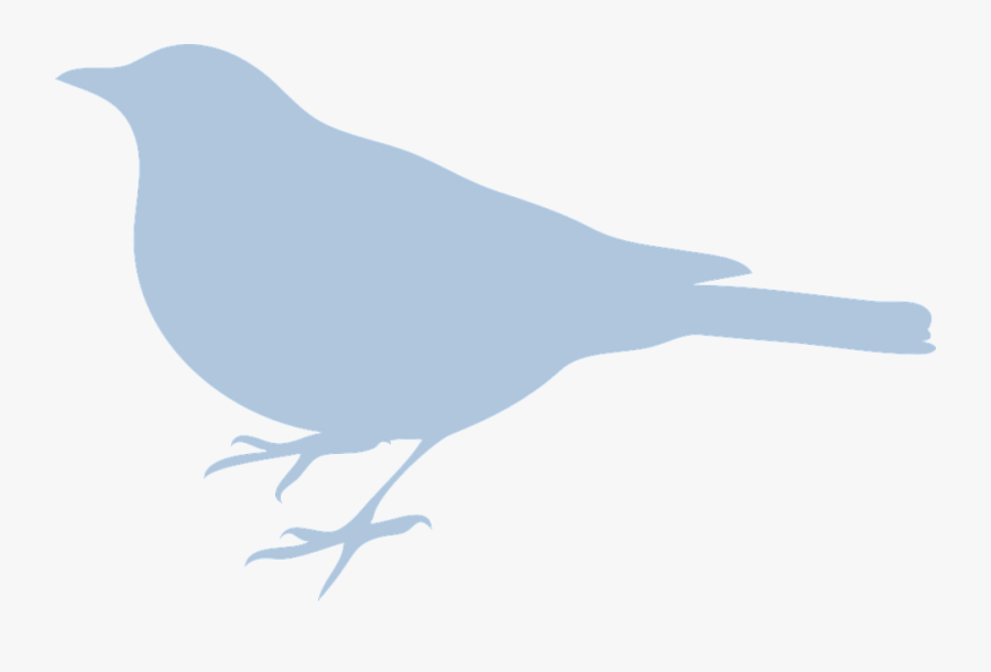 Transparent Mockingbird Clipart - Profile Of A Bird, Transparent Clipart