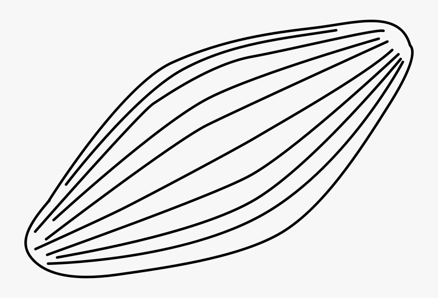 Fossil - Clipart - Microfossil Clipart, Transparent Clipart