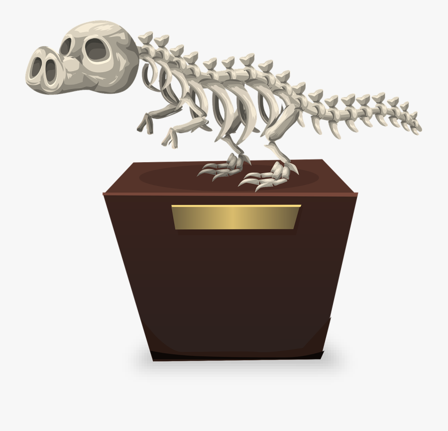 Dinosaur Bones Png - ซากดึกดำบรรพ์ การ์ตูน Png, Transparent Clipart