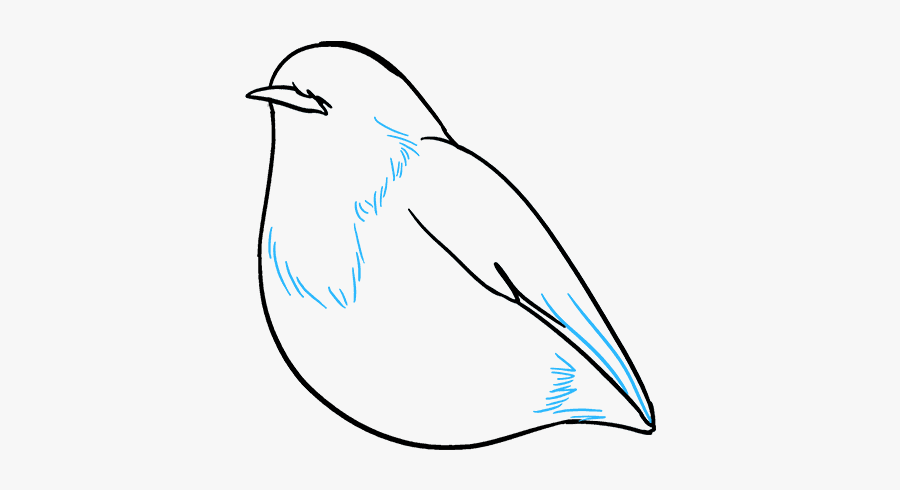 How To Draw Robin - Mountain Bluebird, Transparent Clipart