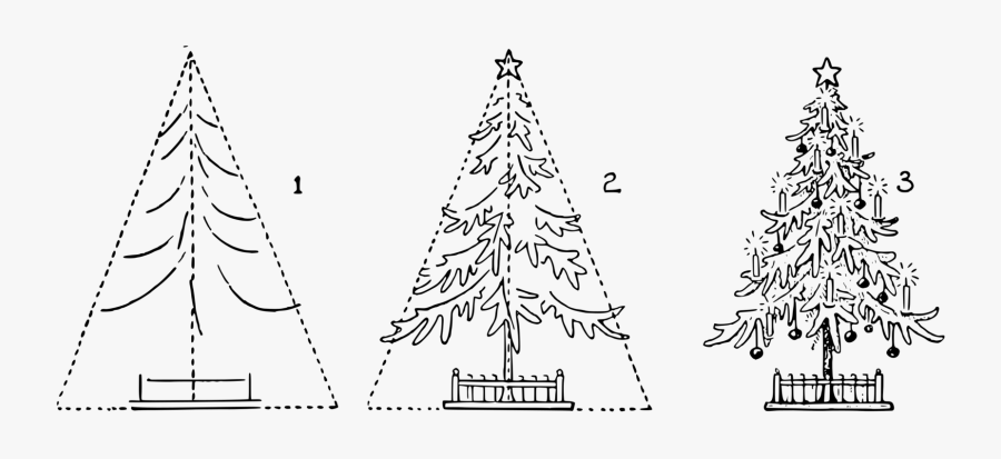 Fir,pine Family,christmas Decoration - Christmas Tree Making Step By Step Clipart, Transparent Clipart