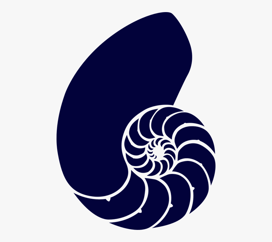 Transparent Blue Shell Png - Nautilus Shell Clip Art, Transparent Clipart