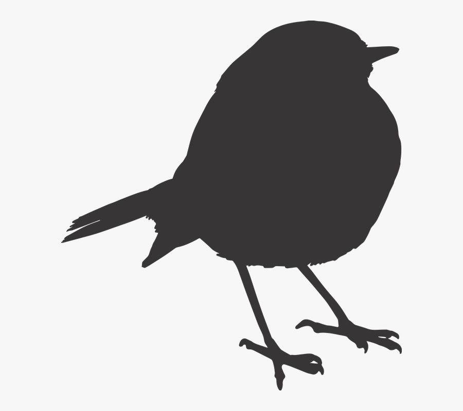 Transparent Crow Clipart - Transparent Background Robin Bird Png, Transparent Clipart
