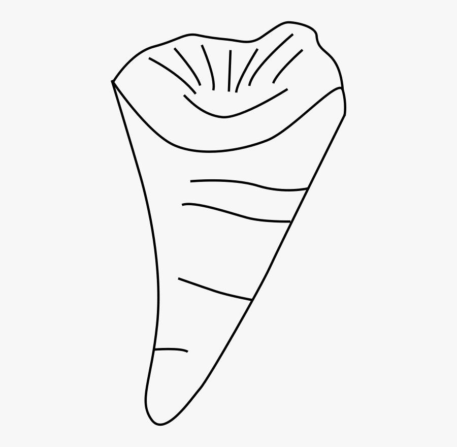 Free Rugosa - Line Art, Transparent Clipart